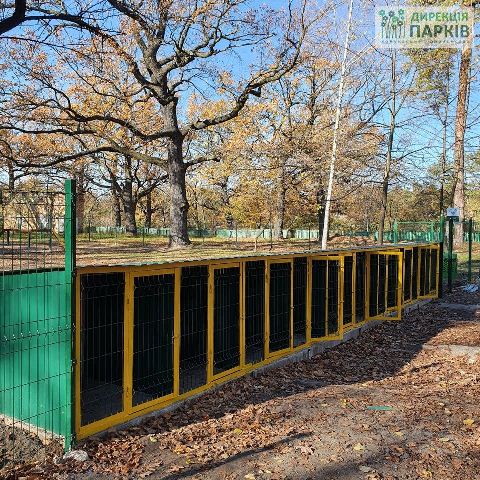 129097617_3394879170559211_8918834541819907402_o