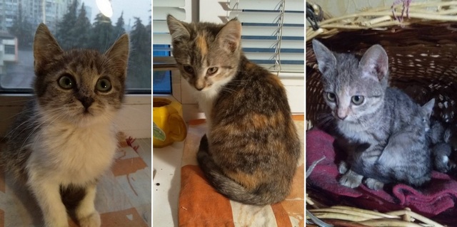 изображение_viber_2020-11-30_11-24-22