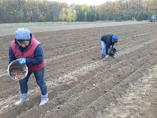 зображення_viber_2020-11-06_13-59-00