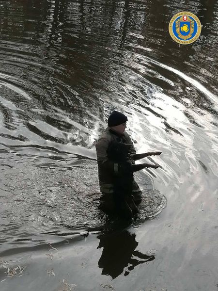 127008938_3535156176520998_8754474617968126375_o