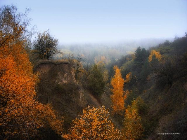 127907648_1707983836037294_4652671851118470523_o