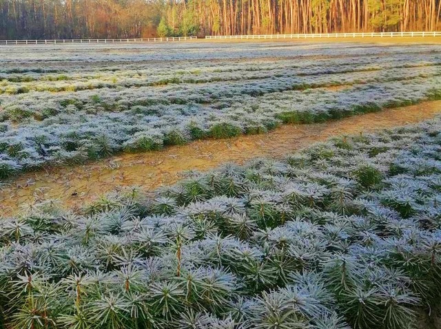 зображення_viber_2020-01-13_14-46-51