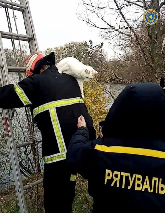 123710498_3488560984513851_4877969414674918575_o