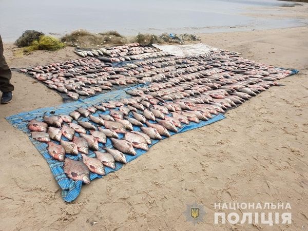 127570658_1013096475842552_4853823916223771174_o