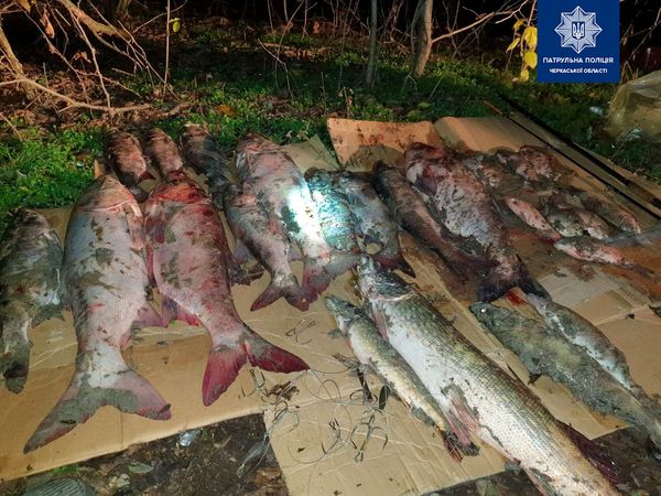 123865916_3419797258098326_3629832969511080450_o