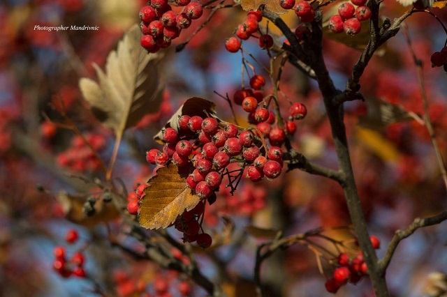 126948287_1704646659704345_754351203390238579_o