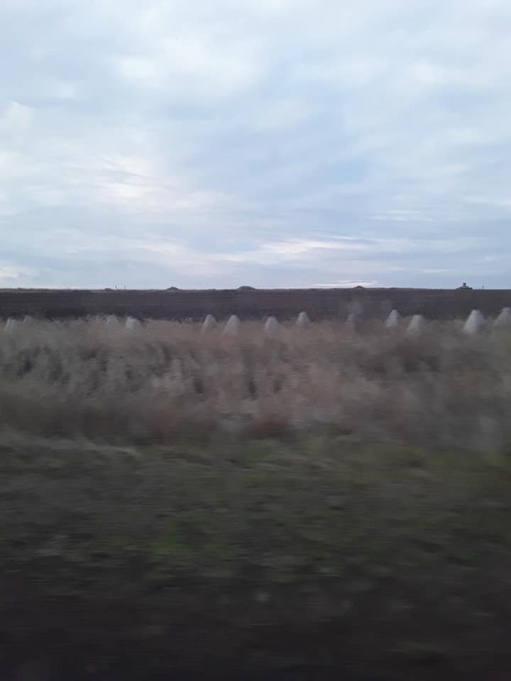 127643791_4778301862240061_5858877020375391441_n