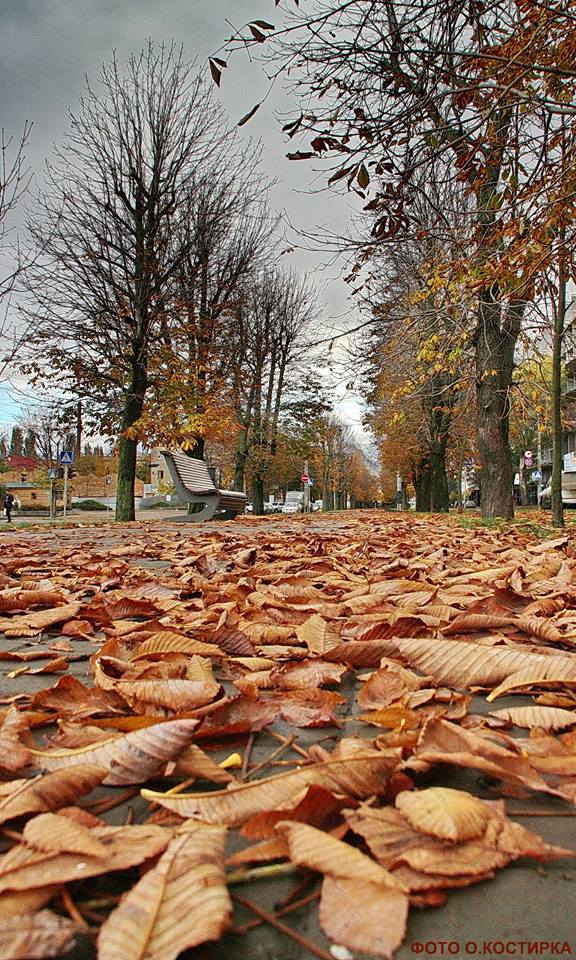 123032409_3484700448264348_8877052553051476447_n