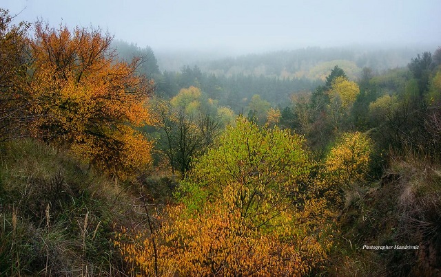 123029723_1683665255135819_8182111400161906366_o