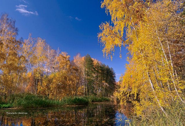 247278499_1959430867559255_7168215646869268025_n