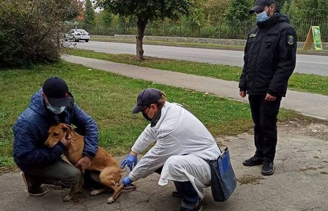 246884780_1389514968111936_1570501158232872693_n