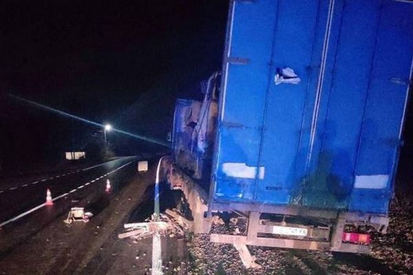 249302325_1226580561160808_1127414122155515088_n