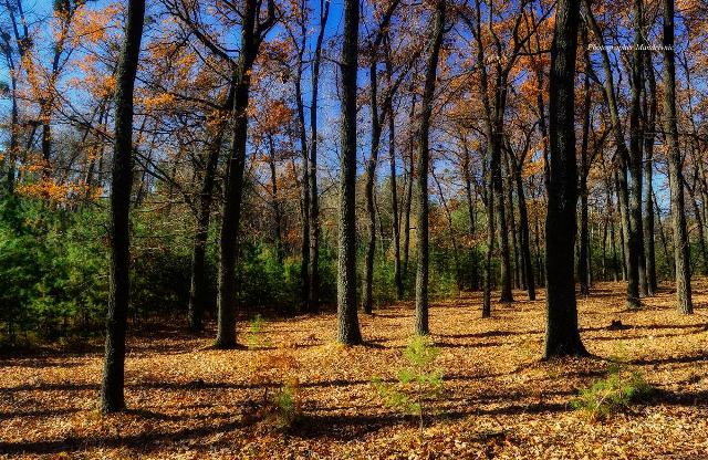 246770646_1960237720811903_200070671562190682_n