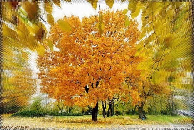 248654733_4442138519214068_4992874236761105513_n