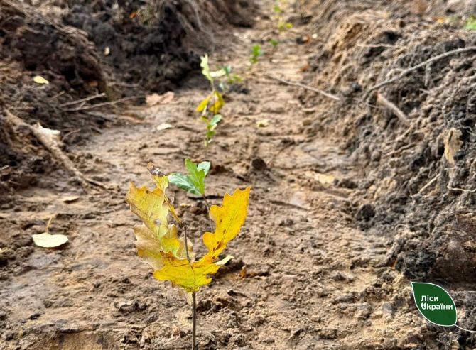 574581785_821139584215666_898222123721906226_n