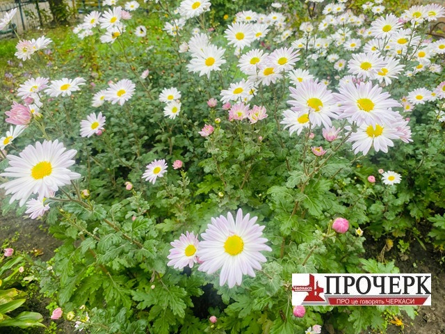 photo_2025-10-20_12-26-57