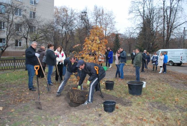 Фото Анни Ілляшенко