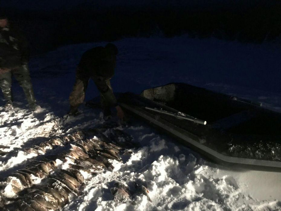 photo_2018-11-28_11-10-54 (2)