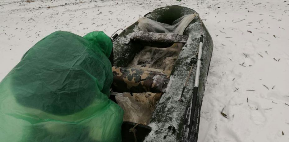 photo_2018-11-28_11-10-49