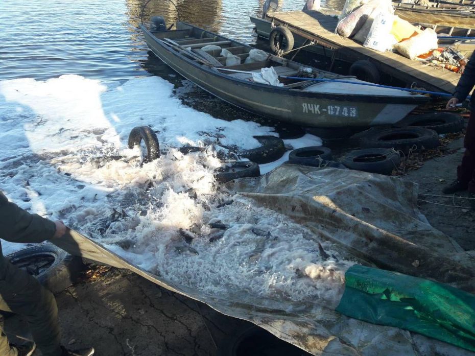 photo_2018-11-14_09-37-40