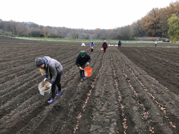 0-02-05-07bc6c25ed593ed2dd4f99635e561ce63b8d74e83918fc2e044e8e4e047821e1_full-1