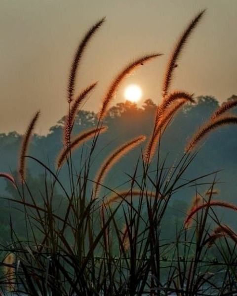 250887507_1961876303990164_1757642187237859830_n