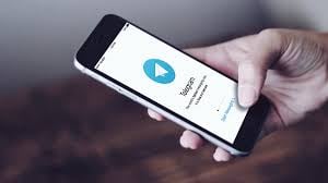 252569222_4639701679385540_3926552119024902899_n