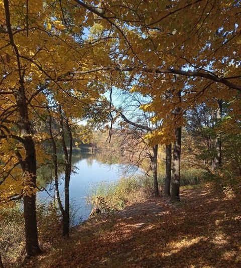 250498002_1961875507323577_8222677002012125569_n