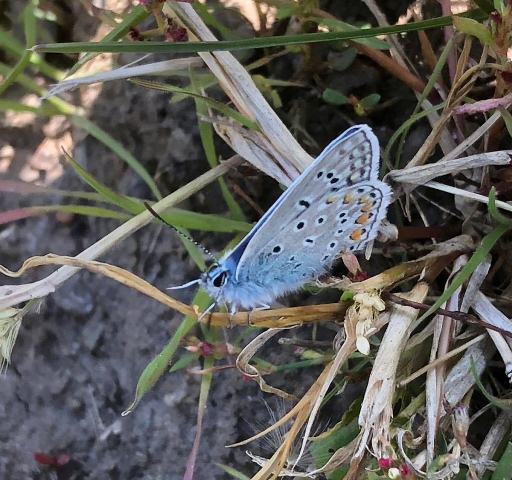 250727552_1961876890656772_7605023663815005114_n