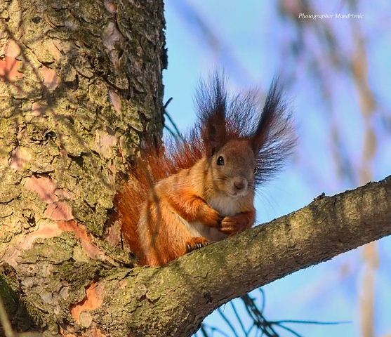 74685194_1360624050773276_477055241771024384_n