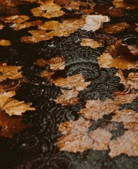 250748846_2985099245137313_6631080554066141439_n