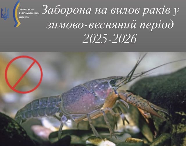 589737380_122147650898807410_6944147269166831784_n