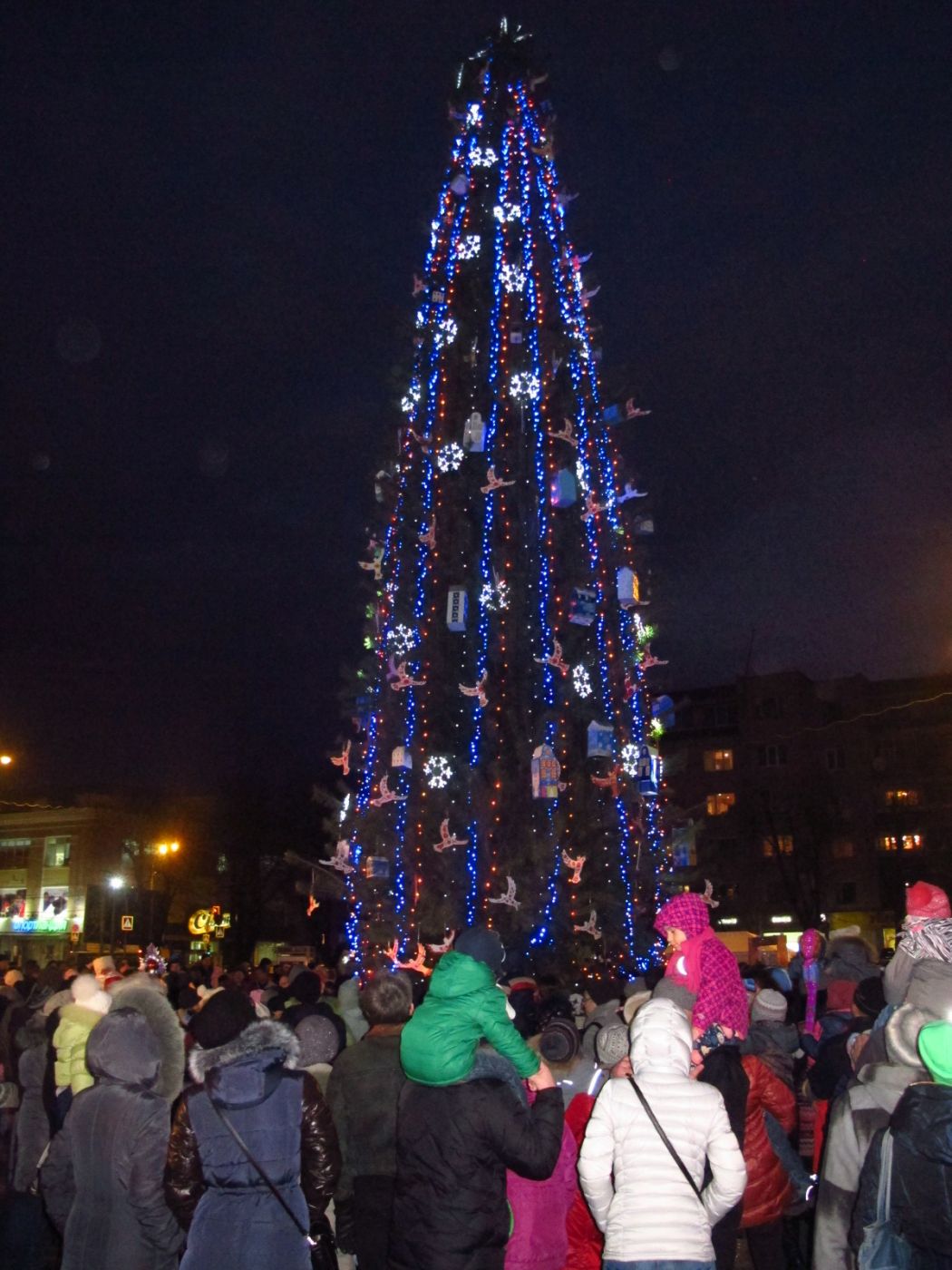 Фото: Про все