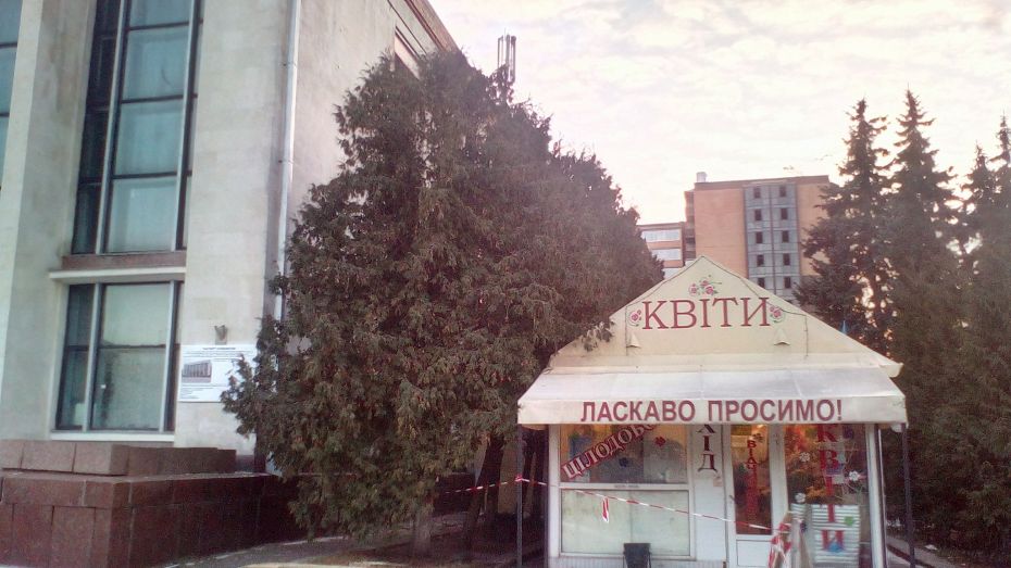 15385496_170154596791753_6113274790614546464_o