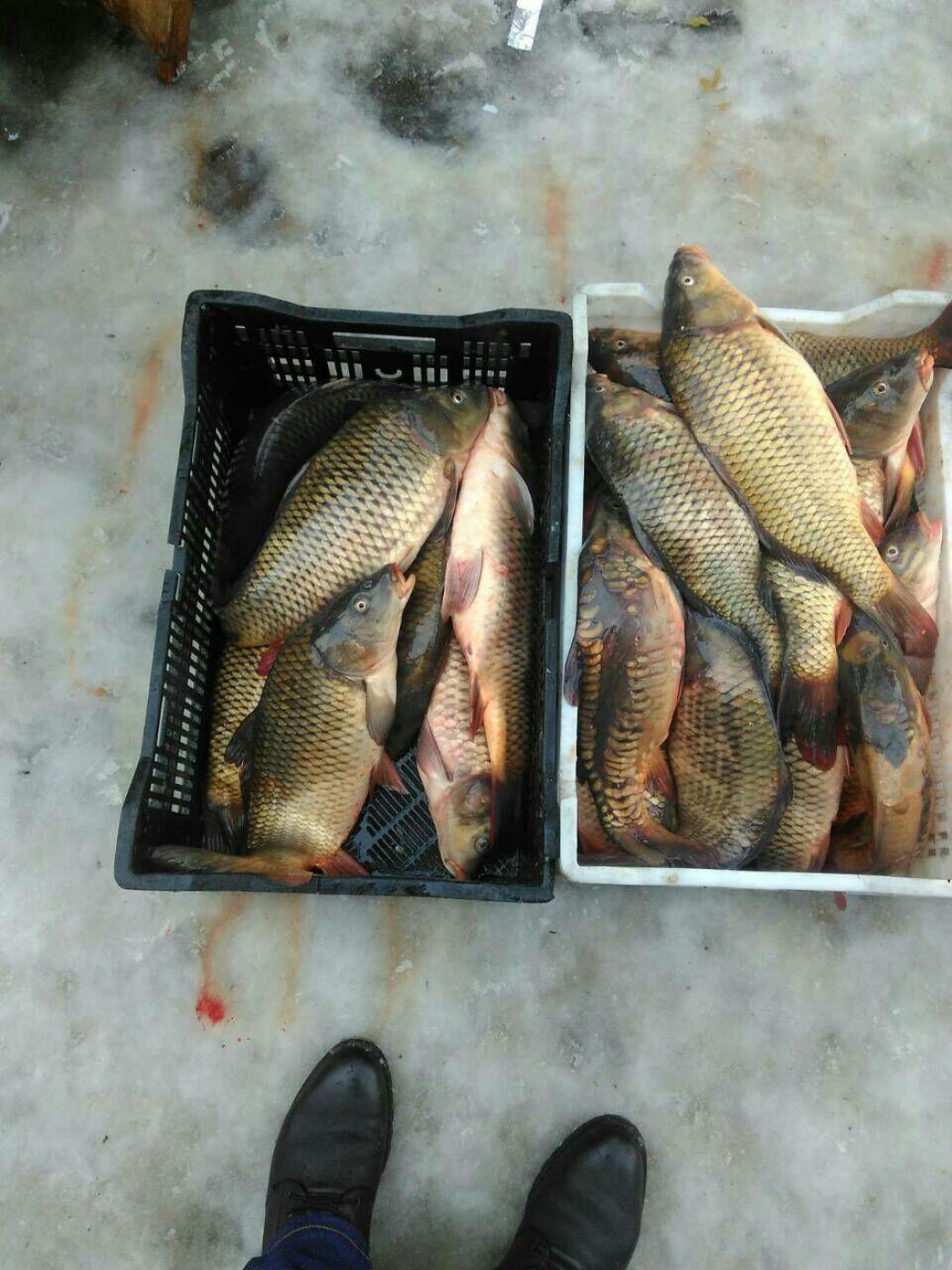 photo_2018-12-18_11-36-08