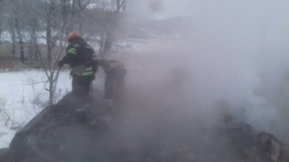 IMG-9b9e579ef702d866a8bd1367ab106c4c-V