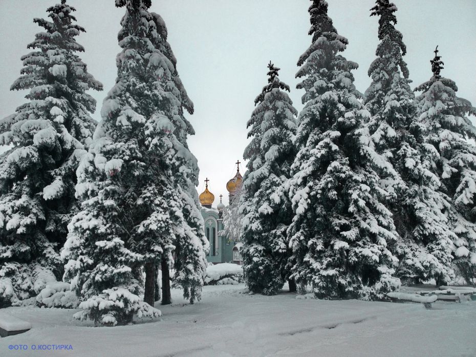 48383868_2040260266041714_2015512806371098624_o