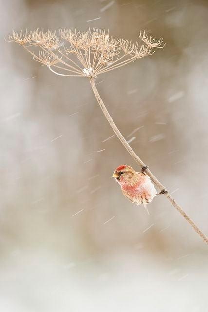 131102248_2752783968368843_8636571756638756232_n