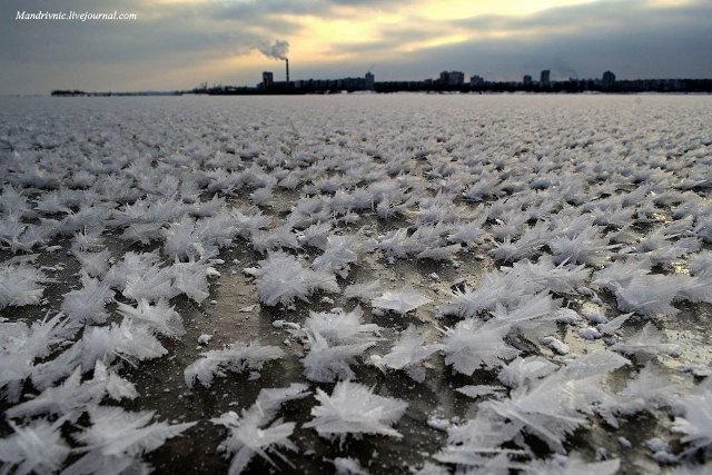 130787570_1718149338354077_1503209093789094104_o