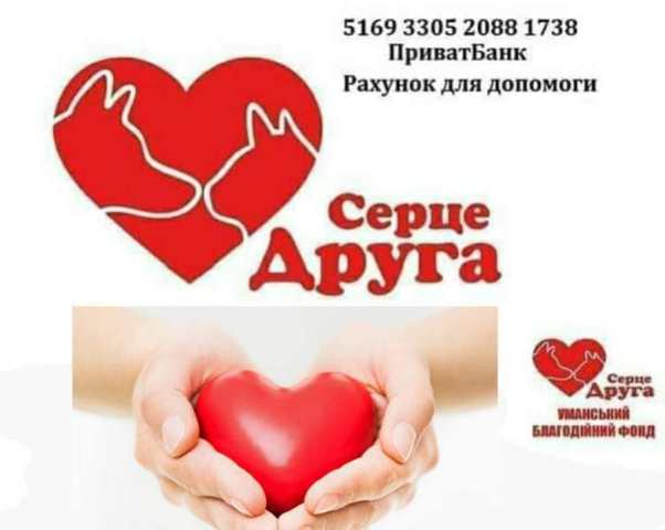 130188523_1693688967480798_5563763350002361805_n