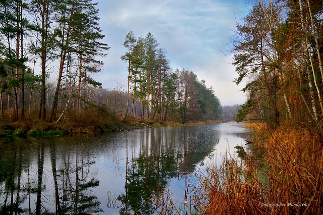 136142924_1738458676323143_5434656860694624851_o