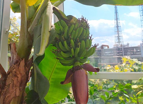 1c540defa35592cd49ce0c1d9932e728_XL