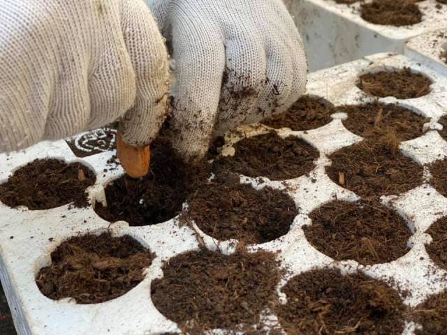 128270335_1703425546501909_906192071671506795_n