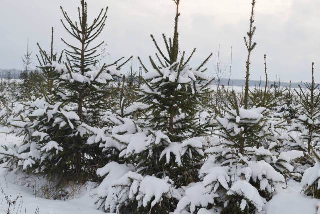 media-share-0-02-0a-716553c97b1bf4ed27a1d09e3de32d8824ed7ab66706992aa5d67ca72044ec26-055b237e-7536-463c-b956-114294a46aab