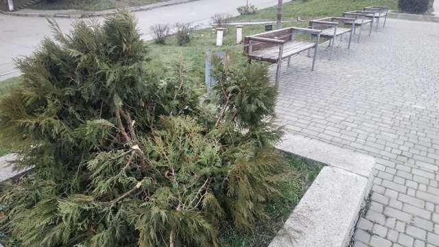 132431673_1750644921761869_4539344636747817652_n