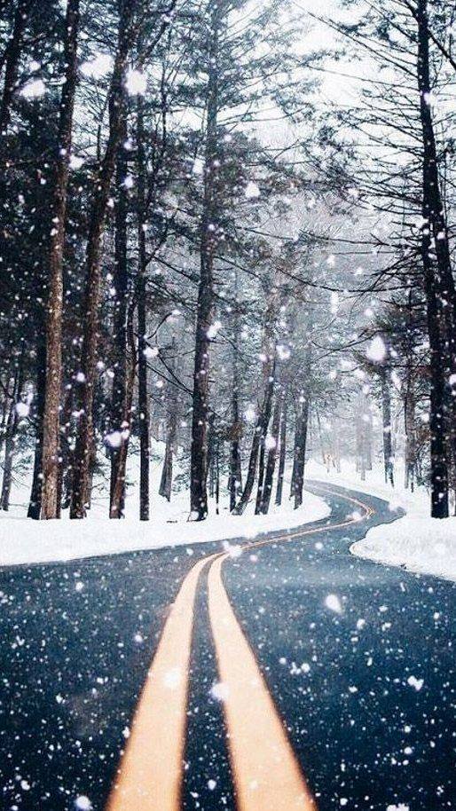 129239364_2742404492740124_7880680755221520517_n