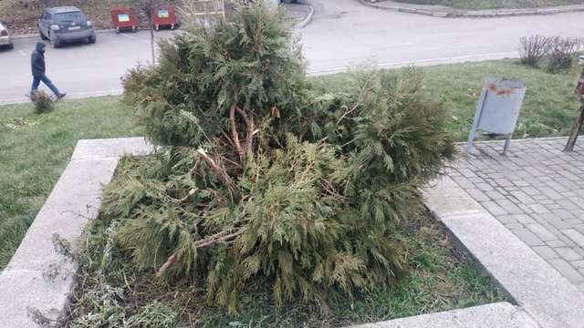 131942156_1750644908428537_4307144793059427137_n