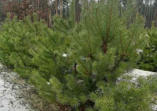 media-share-0-02-05-e5c252009a2fdc4e8f70a59b571940c168bf8f4e02d475ec2e4ef59ac49658aa-69a5d09d-e794-4403-ae65-dfeaee4e7a7a