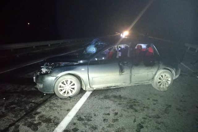 135477787_4900540023351686_4854288798473271247_o