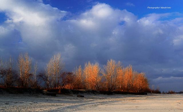 131890741_1724825507686460_7480391304434204345_o